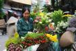 Sắc hoa tháng năm Hà Thành
