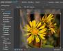 Photoshop Express - Công cụ chỉnh sửa ảnh trực tuyến