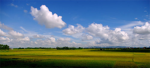 Cánh đồng Hà Nội