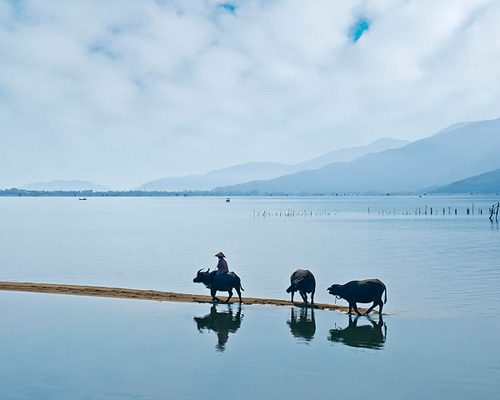 ảnh đẹp